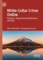 White-Collar Crime Online - Preview