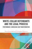 White-Collar Defendants And The Legal Process