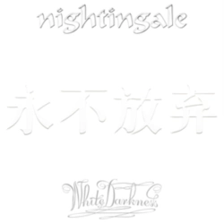 Capa do artigo White Darkness - CD