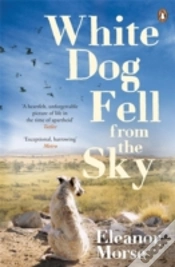 Capa do artigo White Dog Fell From The Sky
