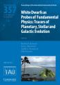 White Dwarfs As Probes Of Fundamental Physics (Iau S357) - Preview