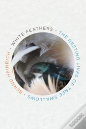 Capa do artigo White Feathers