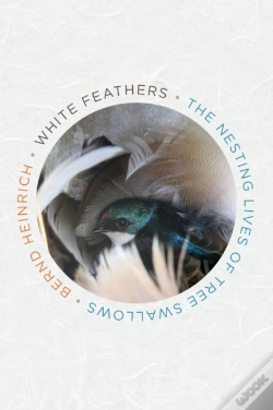 Capa do artigo White Feathers
