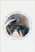 White Feathers: The Nesting Lives Of Tree Swallows