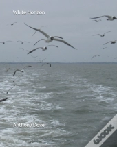 White Horizon