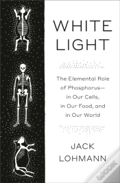 Capa do artigo White Light