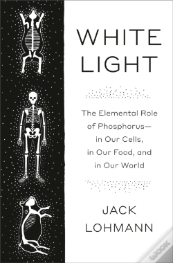 Capa do artigo White Light