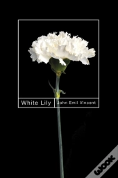 White Lily