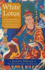 Capa do artigo White Lotus