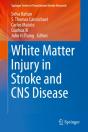 White Matter Injury In Stroke And Cns Disease - Preview