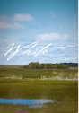 White - Preview