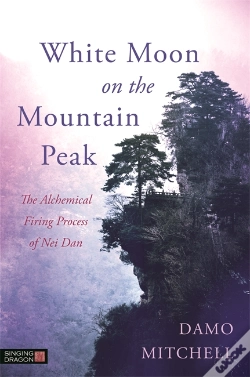 Capa do artigo White Moon On The Mountain Peak