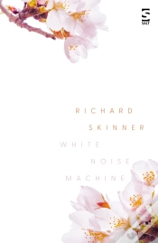 Capa do artigo White Noise Machine
