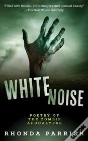 Capa do artigo White Noise
