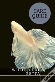 Capa do artigo White Opal Betta