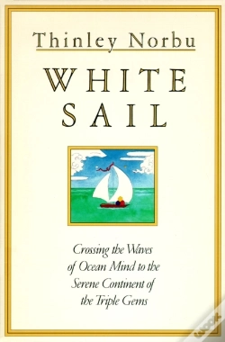 Capa do artigo White Sail