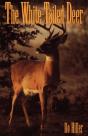 White-Tailed Deer - Preview