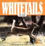 White Tails For Kids - Preview