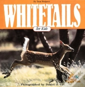 White Tails For Kids