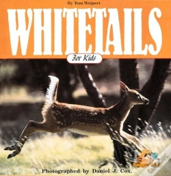 Capa do artigo White Tails For Kids