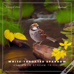 Capa do artigo White-Throated Sparrow And River Stream Trickle