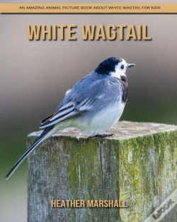 Capa do artigo White Wagtail