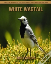 Capa do artigo White Wagtail