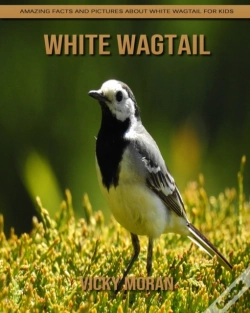 Capa do artigo White Wagtail