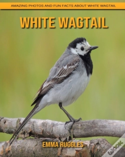 Capa do artigo White Wagtail