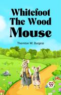 Whitefoot The Wood Mouse