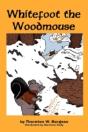 Whitefoot The Woodmouse - Preview