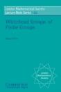 Whitehead Groups Of Finite Groups - Preview