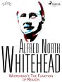 Whitehead'S The Function Of Reason - Preview