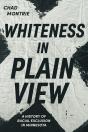 Whiteness In Plain View - Preview