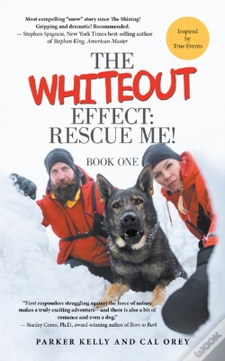 Capa do artigo Whiteout Effect: Rescue Me!