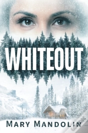 Capa do artigo Whiteout