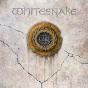 Whitesnake - Vinil - Preview