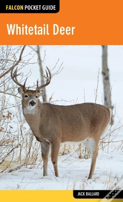 Capa do artigo Whitetail Deer