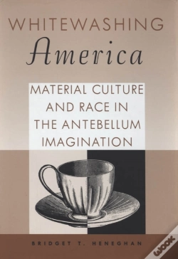 Capa do artigo Whitewashing America