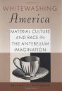 Whitewashing America - Preview