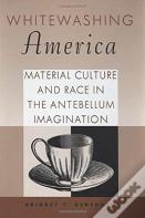 Whitewashing America