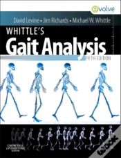 Capa do artigo Whittle
