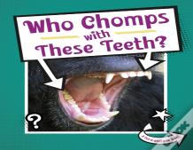 Who Chomps With These Teeth?