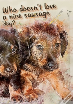 Capa do artigo Who Doesn'T Like A Nice Sausage Dog