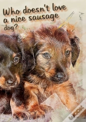 Who Doesn'T Like A Nice Sausage Dog