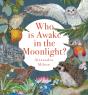 Who Is Awake In The Moonlight? - Preview