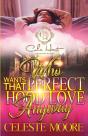 Who Wants That Perfect Hood Love Anyway - Preview