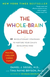 Capa do artigo Whole-Brain Child