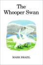 Whooper Swan - Preview