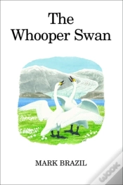 Capa do artigo Whooper Swan